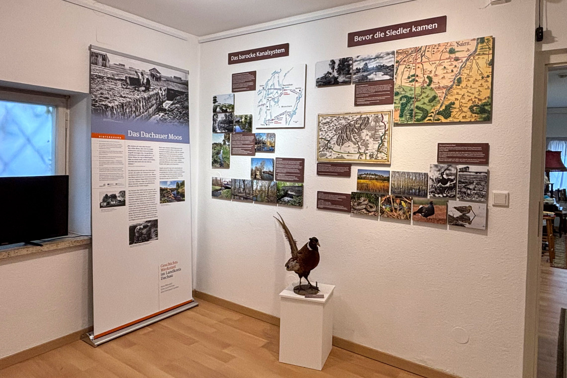 Ausstellungsraum "Bevor die Siedler kamen"